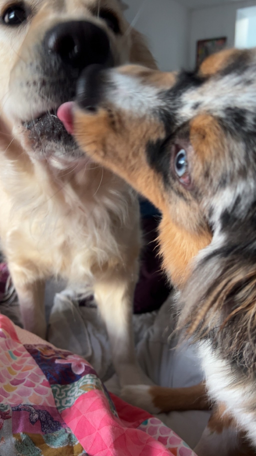 Bonne année, bonne santé ! Happy New Year&nbsp;!