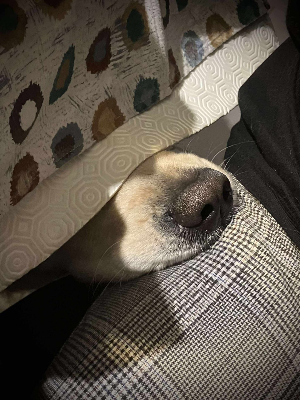 Mon anniversaire partie 1 / My birthday part&nbsp;1