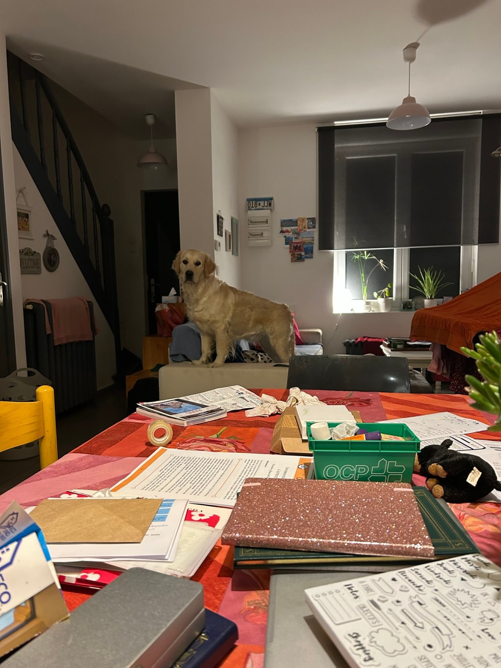 La curiosité est un vilain défaut 😉