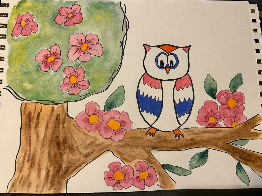 Chouette 🦉 Owl