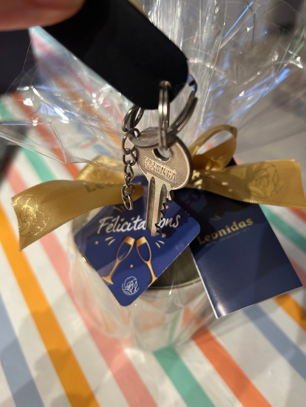 Propriétaire 🔑🏠⭐️