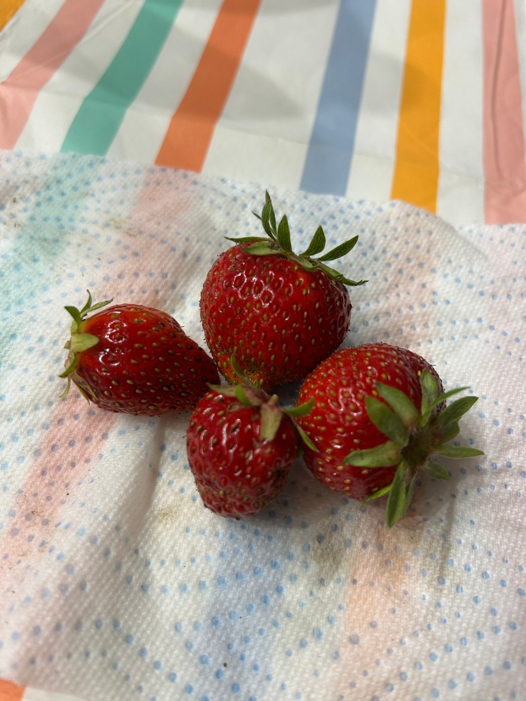 Les premières fraises 🍓 de la&nbsp;saison