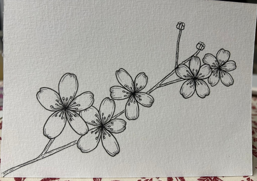 Fleurs de cerisier